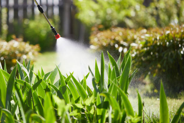 24/7 Emergency Mosquito Control experts in Moorhead, MS