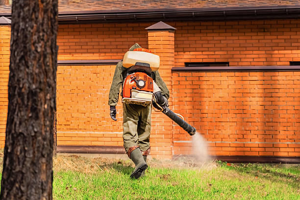 Trusted Rodent Control service in Moorhead, MS - Nex Pest Control
